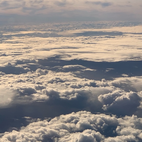 Meet your Posher, Emily - Picture 1 of 1